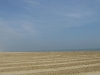 Strand2