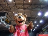 bayern019